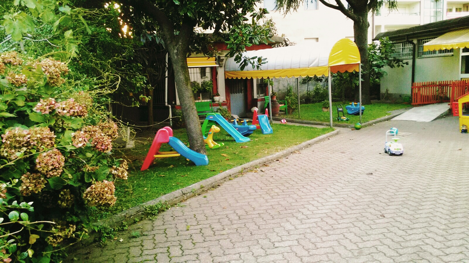 Il giardino